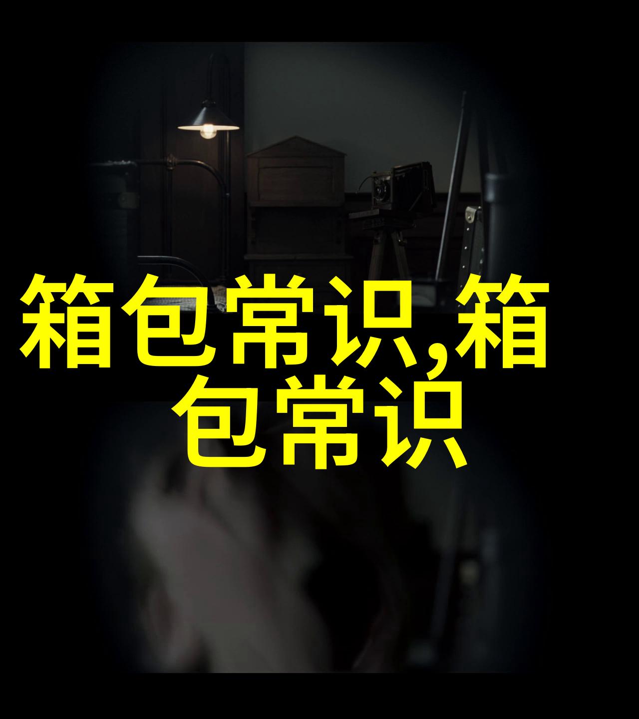 时尚女性必备优雅格菱包的魅力与搭配指南