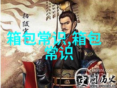 时尚与实用的结合豆腐包女包与大包的全面解析