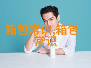 探寻时尚与实用的完美结合大号女包马克包的魅力