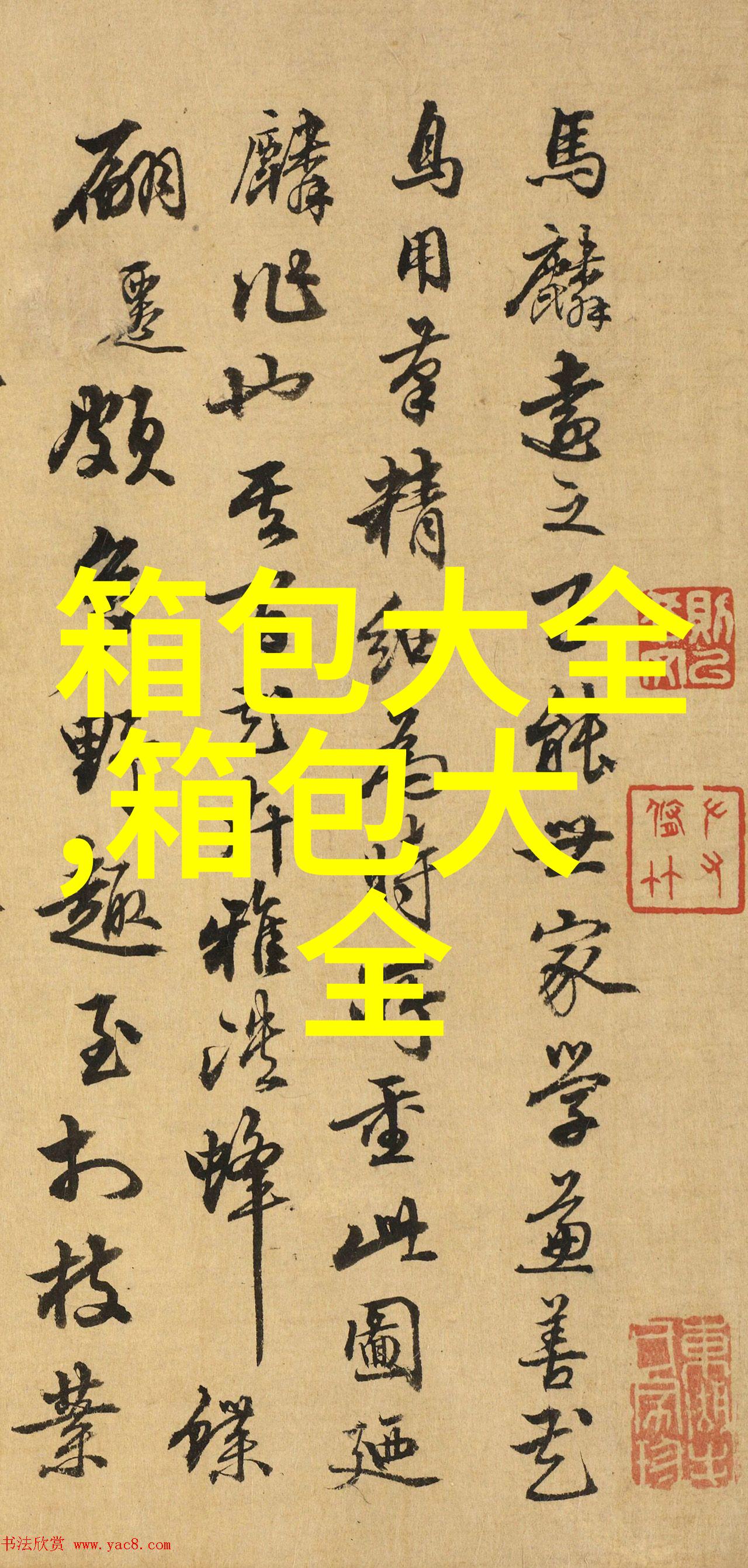 c大丈夫李小冉同款包包