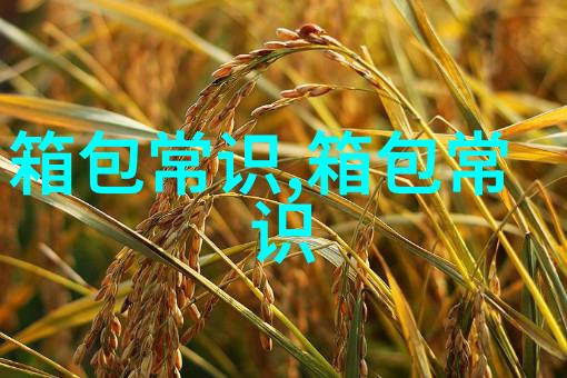 探索Gucci马鞍包时尚与经典的完美结合