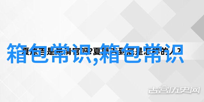 时尚与实用兼备解析热门女包枕头包品牌