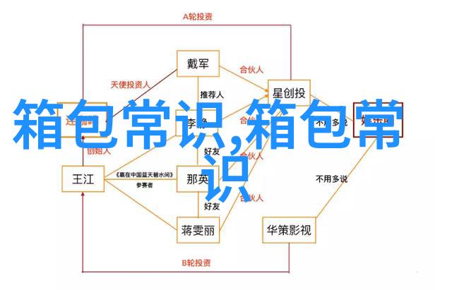 时尚与实用兼具Chloe小猪包详解
