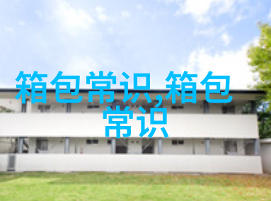 时尚与实用兼具的迷你饭盒包女包推荐