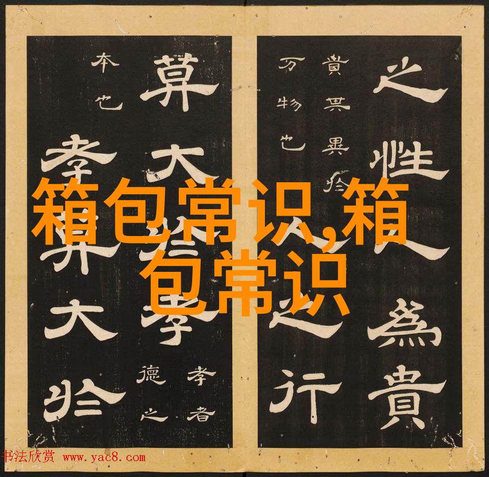 时尚新宠ITIB女包马鞭包解析与搭配指南