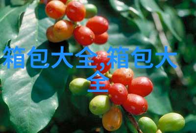 玉挂件配什么项链
