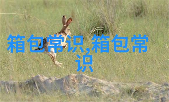 时尚潮流刺绣女包与腋下包的完美结合