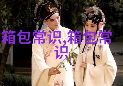 时尚潮流橘色豆腐包女包的魅力与搭配指南