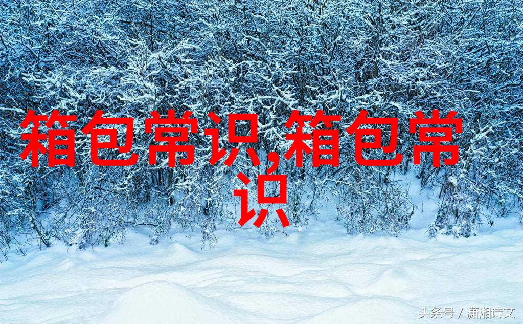 兰蔻气垫黑色好用吗