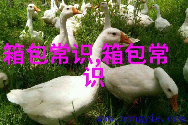 一个衣服牌子h开头的