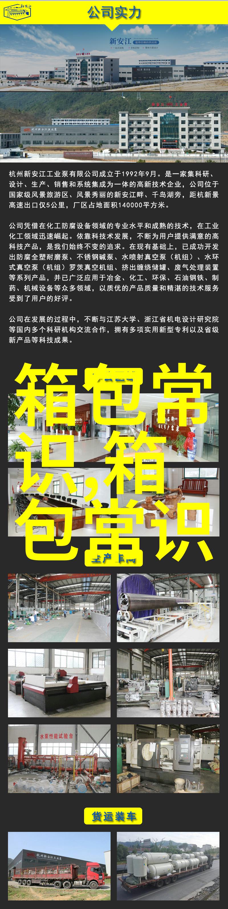 时尚简约的魅力了解精品女包枕头包的流行趋势