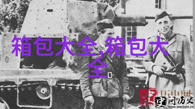 LV neverfull怎么清洗内里