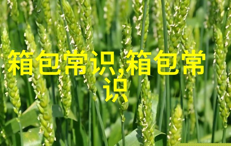 多功能通勤包推荐提升职场女性的商务风格