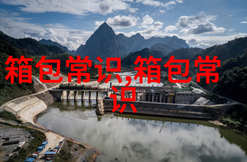 时尚优雅女包直播格子包的流行趋势与搭配秘籍
