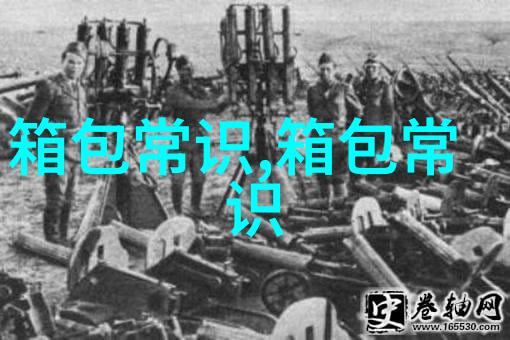 2023年新款LV女包大揭秘时尚与功能的完美结合